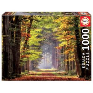 EDUCA 1000 PIECE FALL WALKWAY PUZZLE (#19021)
