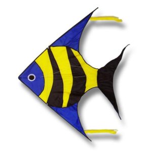 KITE REEF