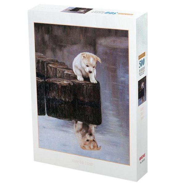 TOMAX 500 PIECE HOW DO I DO