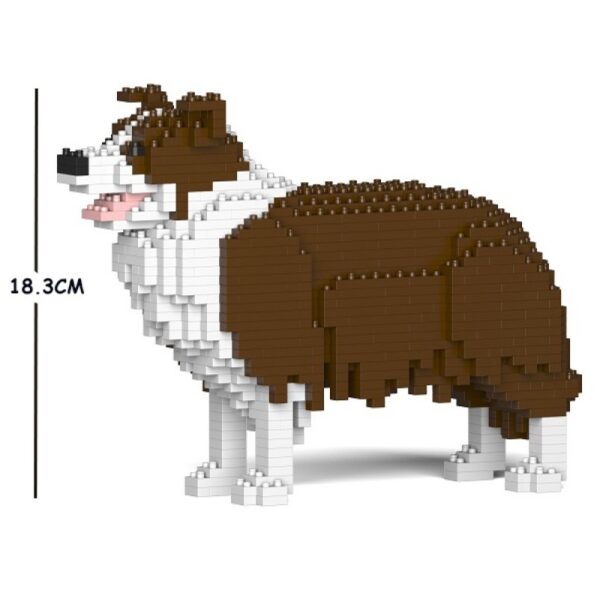 JEKCA BLOCKS BORDER COLLIE BROWN/WHITE STANDING (01S-M02)