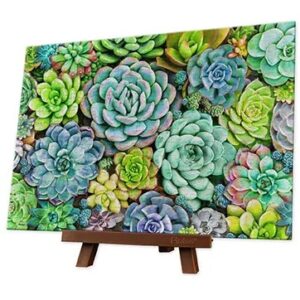 PINTOO 368 XS PIECE SHOWPIECE SUCCULENT WALL