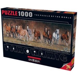 ANATOLIAN 1000 PIECE PANORAMA FREE TIME (1010)
