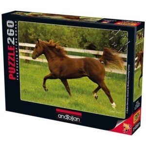 ANATOLIAN 260 PIECE IN THE OPEN FIELD