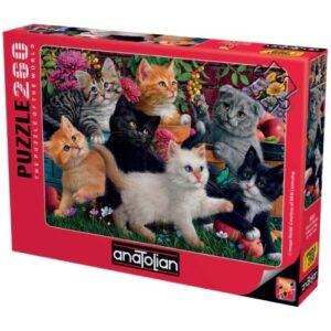 ANATOLIAN 260 PIECE KITTENS AT PLAY