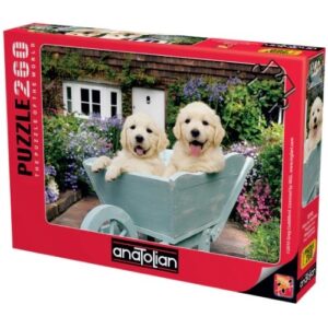 ANATOLIAN 260 PIECE PUPPIES IN A WHEELBARROW