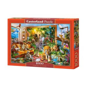 CASTORLAND 1000 PIECE COMING TO ROOM