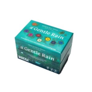 A GENTLE RAIN GAME