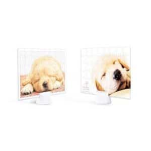 PINTOO 48PC SHOWPIECE PUPPY NAPPING
