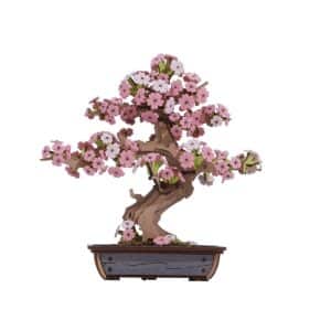 ROBOTIME CREATION SET SAKURA BONSAI