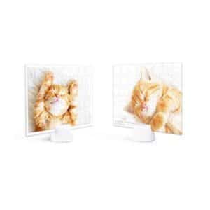 PINTOO 48PC SHOWPIECE KITTENS NAPPING