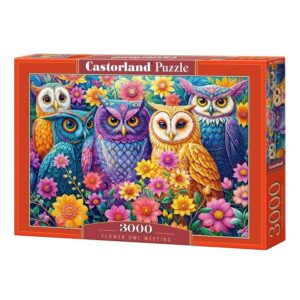 CASTORLAND 3000 PIECE FLOWER OWL MEETING