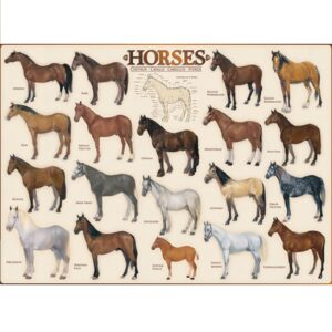 EUROGRAPHICS 1000 PIECE HORSES