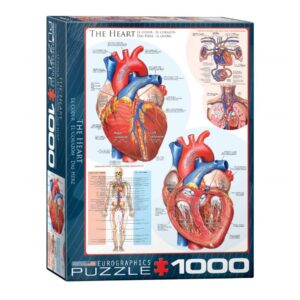 EUROGRAPHICS 1000 PIECE THE HEART