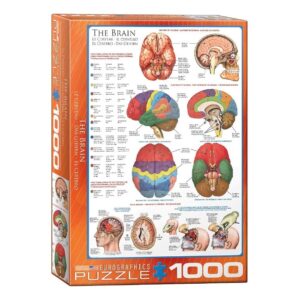 EUROGRAPHICS 1000 PIECE THE BRAIN