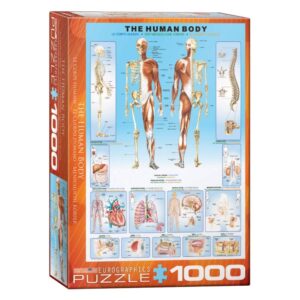 EUROGRAPHICS 1000 PIECE THE HUMAN BODY