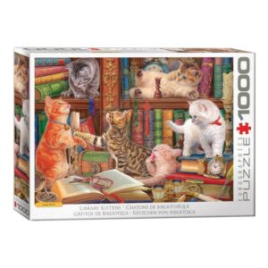 EUROGRAPHICS 1000 PIECE LIBRARY KITTENS